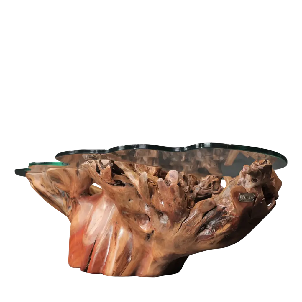 Grasp of Earth