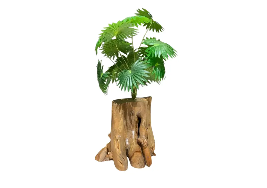 Wood Bloom