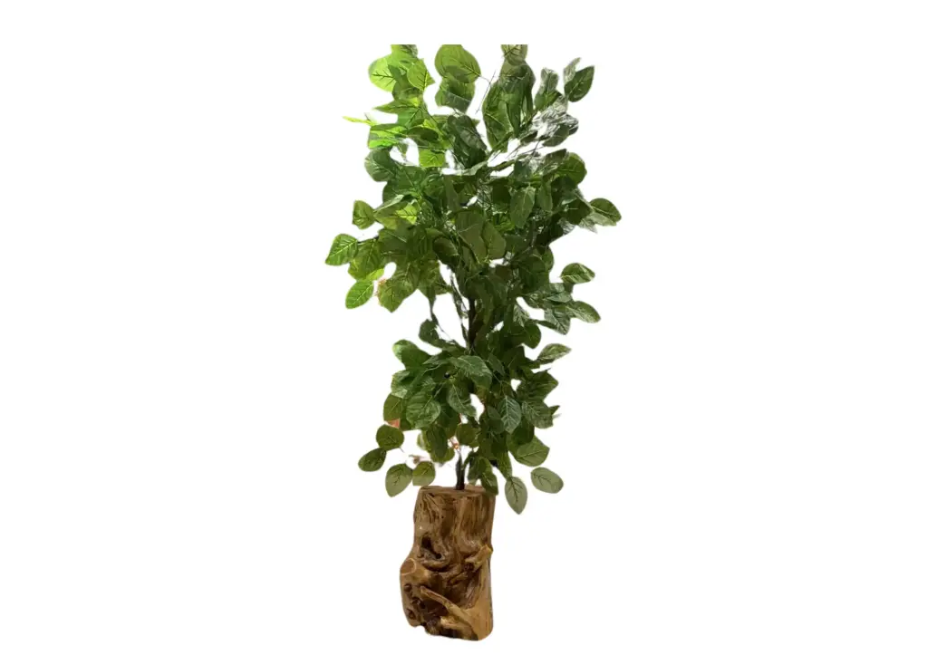 Nature's Vessel