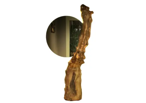 Sol Mirror