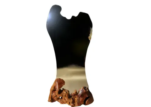 Gaia's Mirror